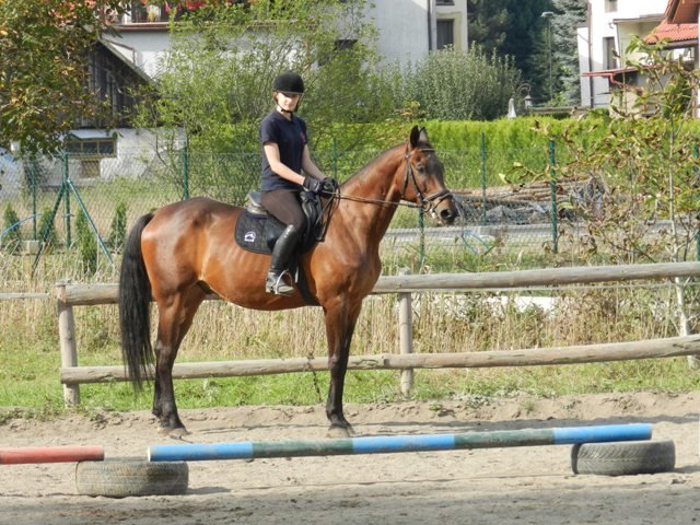 Babie Lato 2016